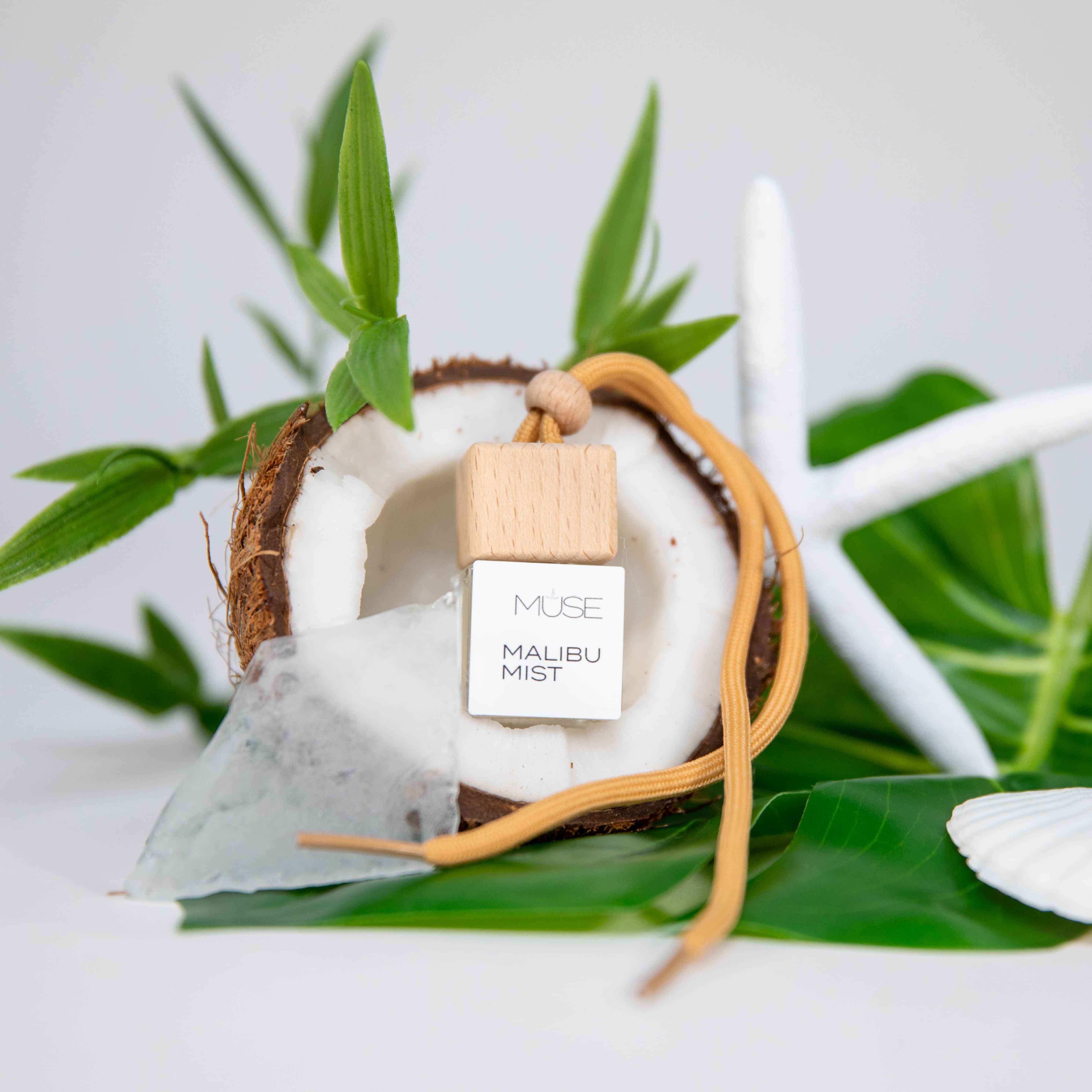 Malibu Mist - Hanging Car Freshener