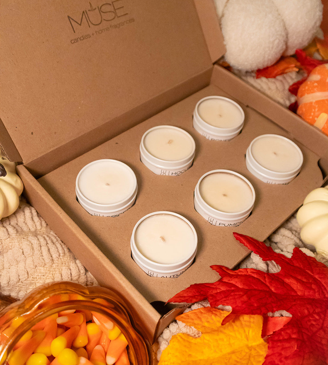 The Harvest Collection Discovery Box | Set of 6 2 oz Tins
