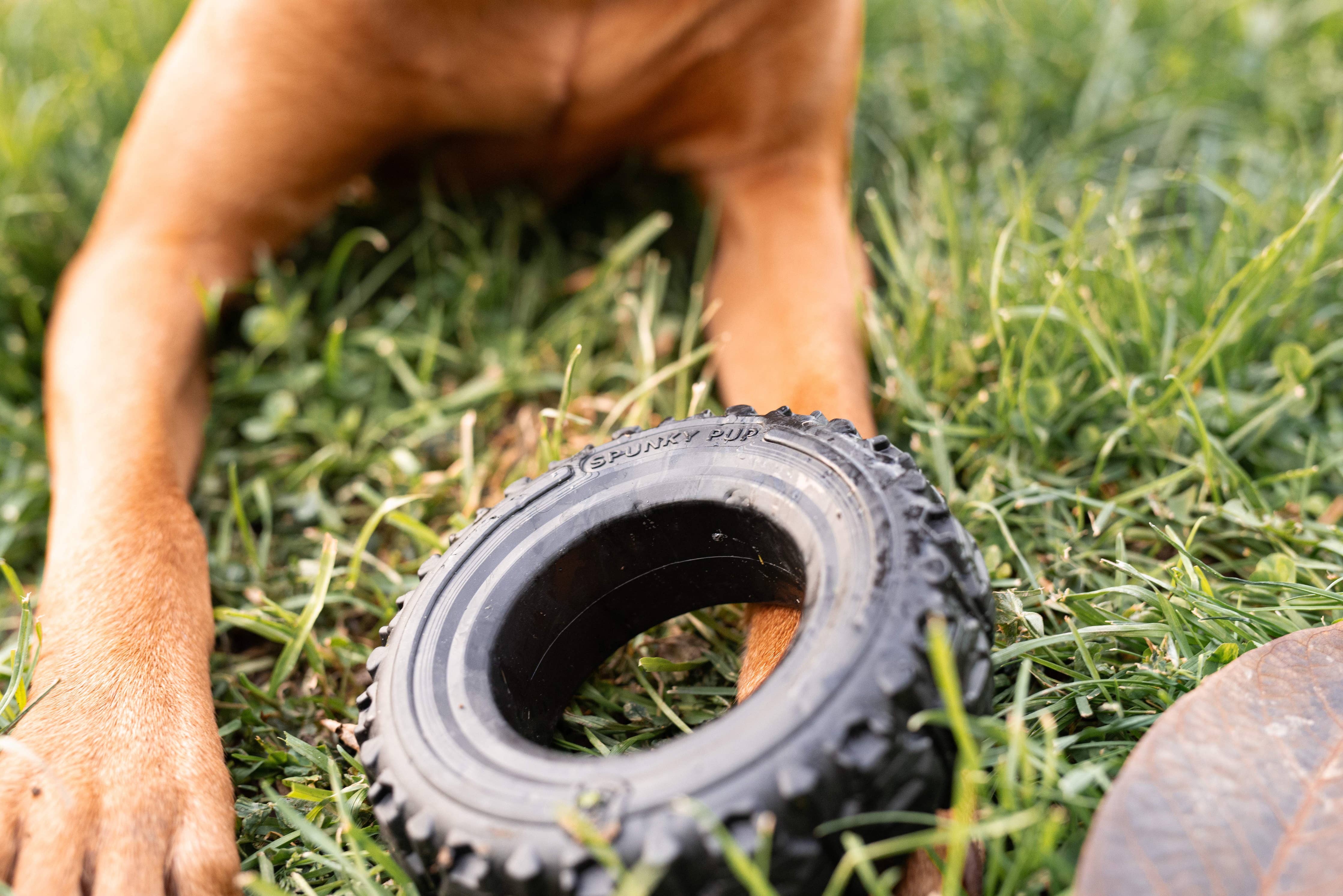 The Tire - Reclaimed Rubber Toy - MADE IN THE USA: Small