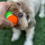 Squeaky Tennis Balls: Medium