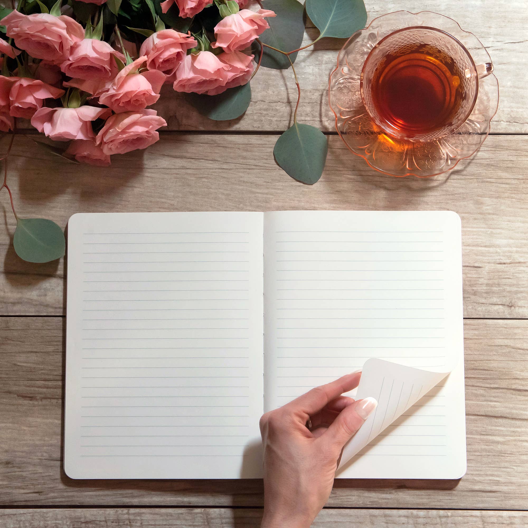 Sun on the Horizon - Deconstructed Journal