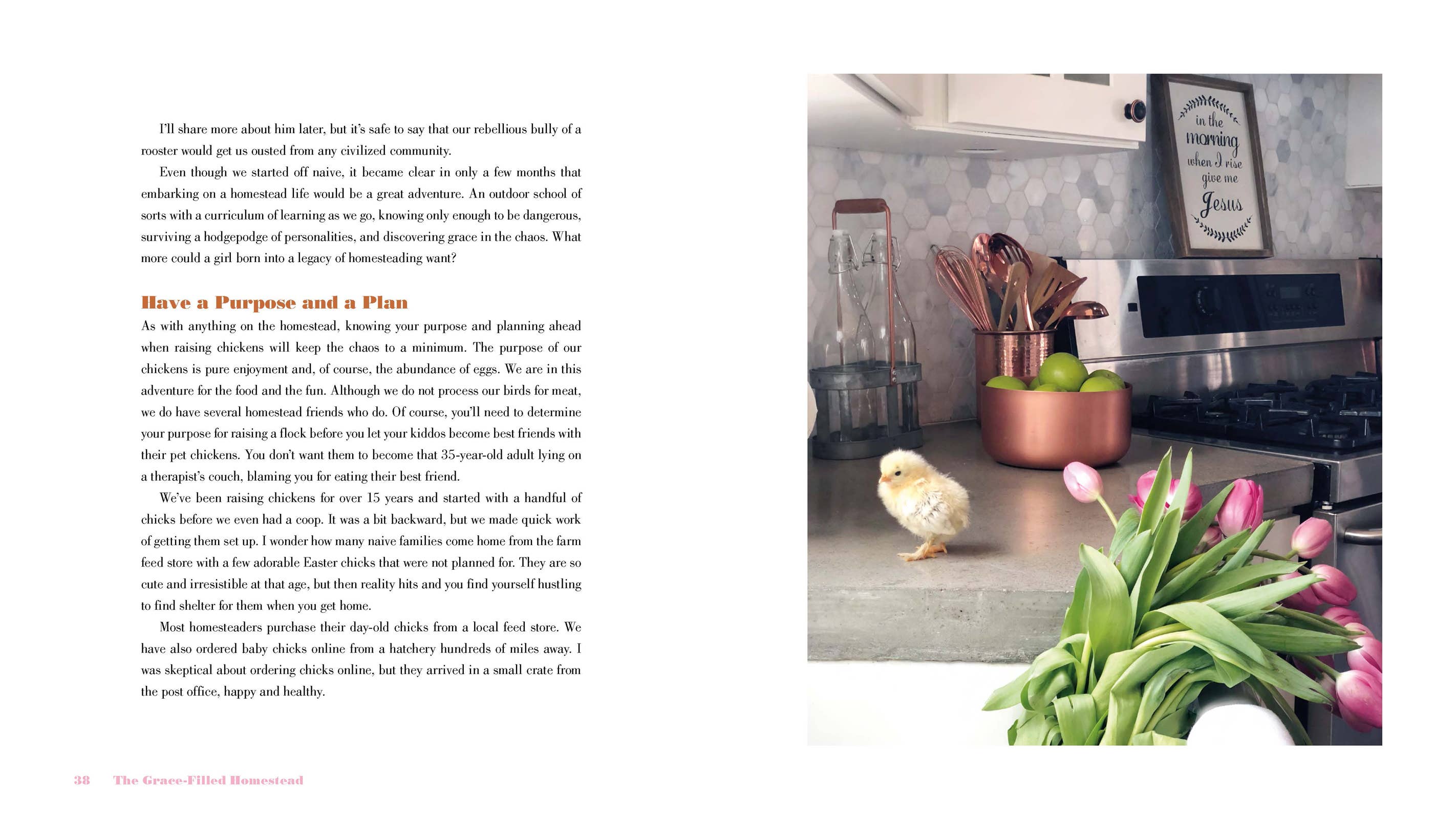 The Grace-Filled Homestead: Hardcover / English