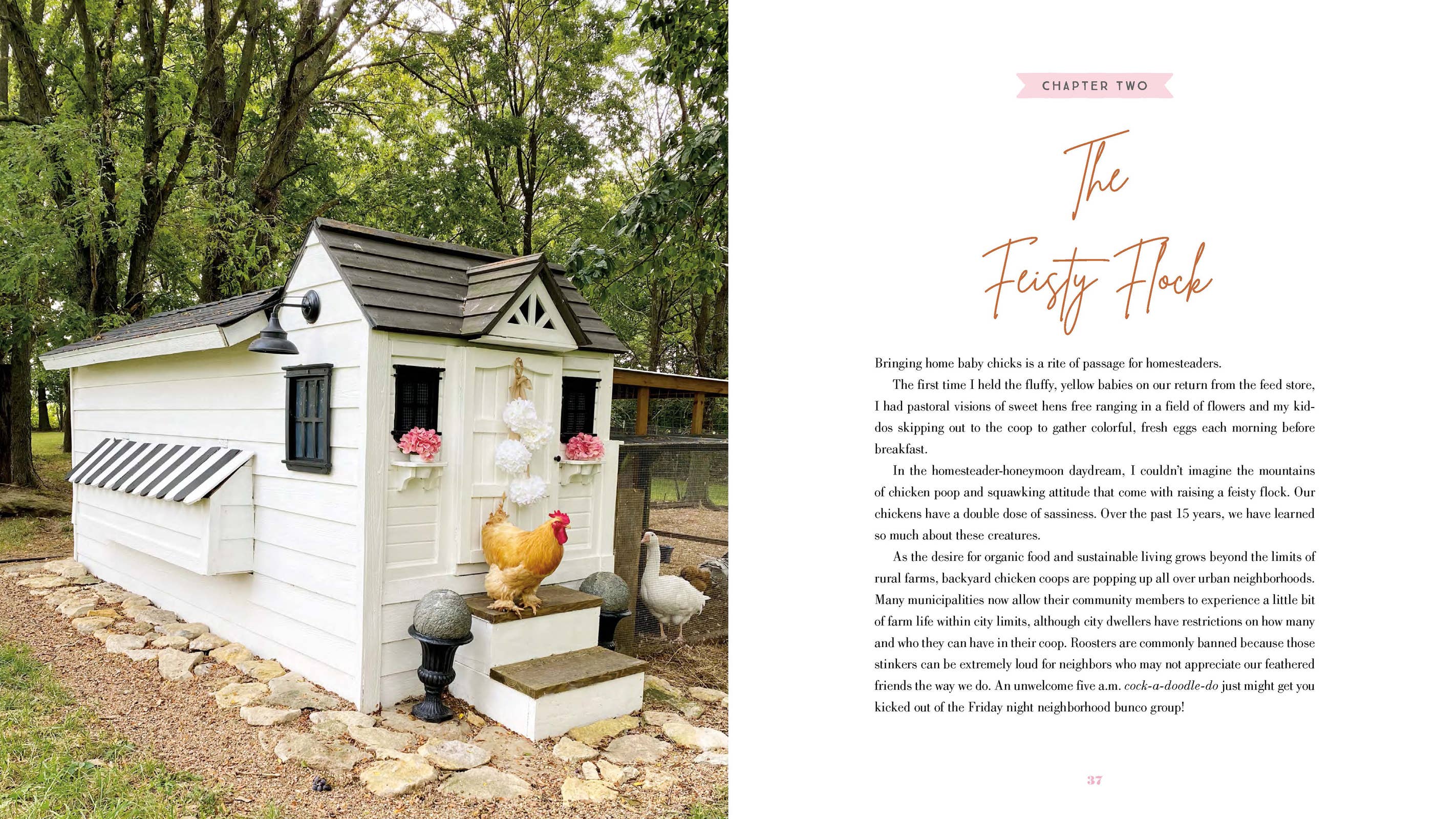 The Grace-Filled Homestead: Hardcover / English
