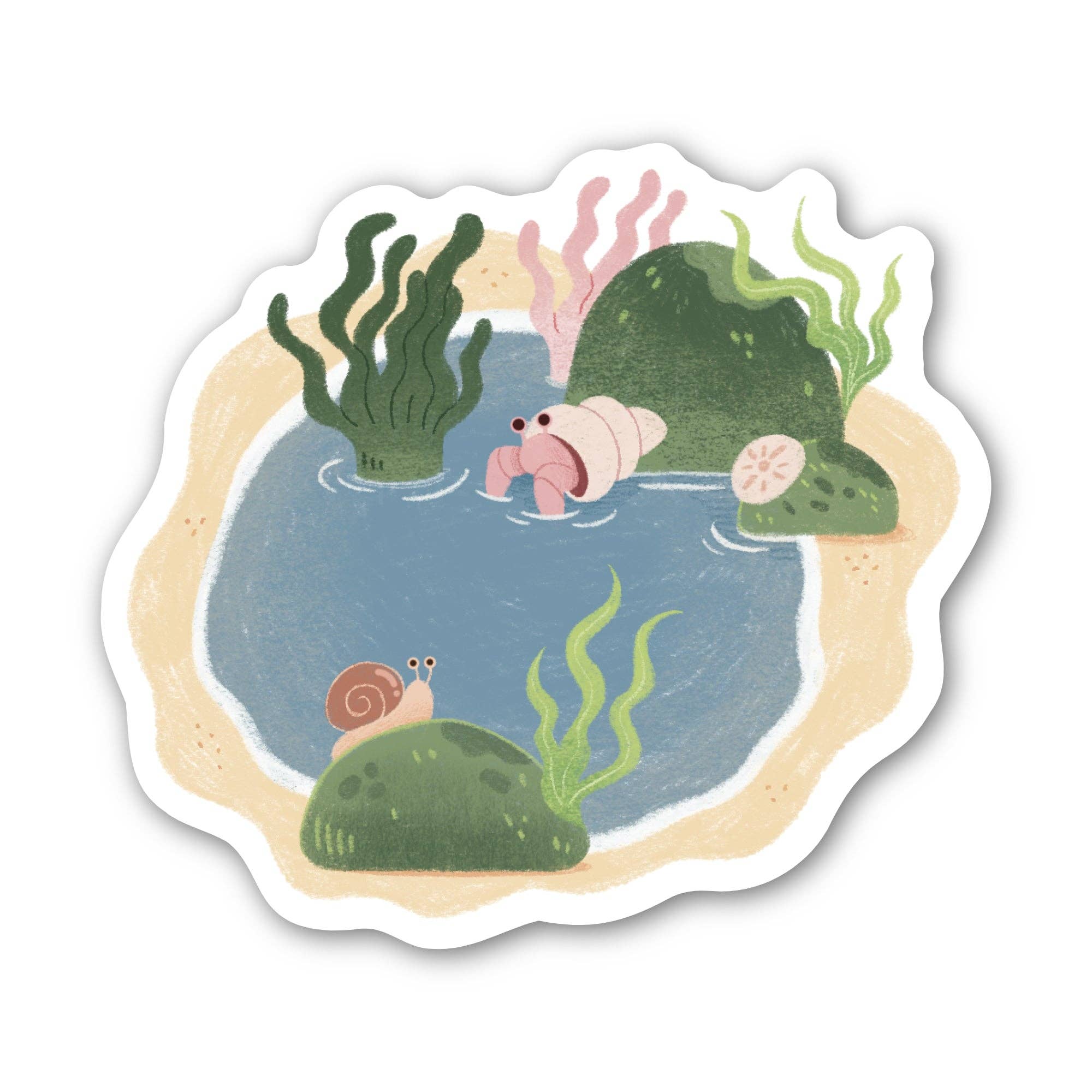 Tide Pool Sea Creatures Beach Sticker