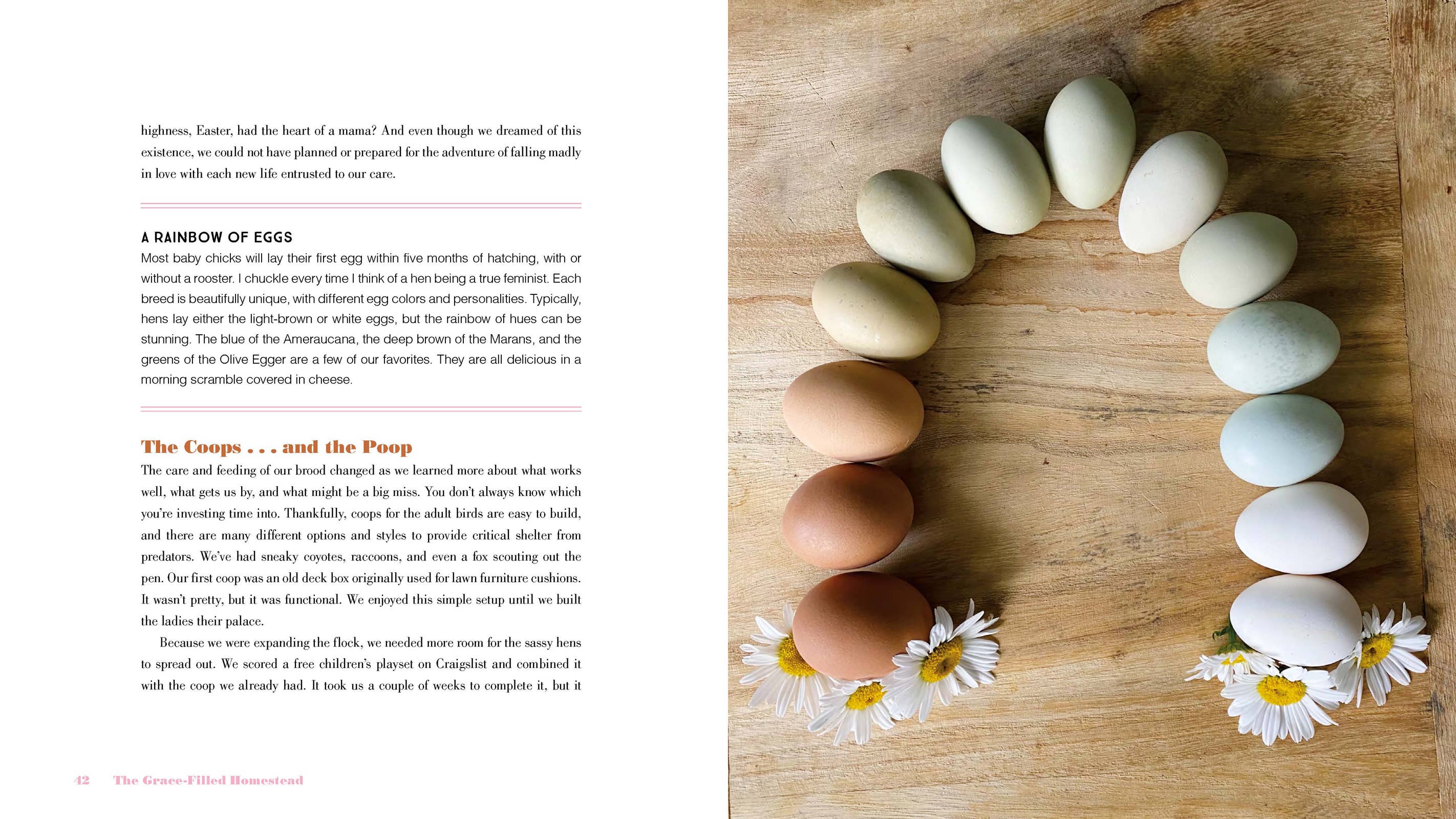 The Grace-Filled Homestead: Hardcover / English