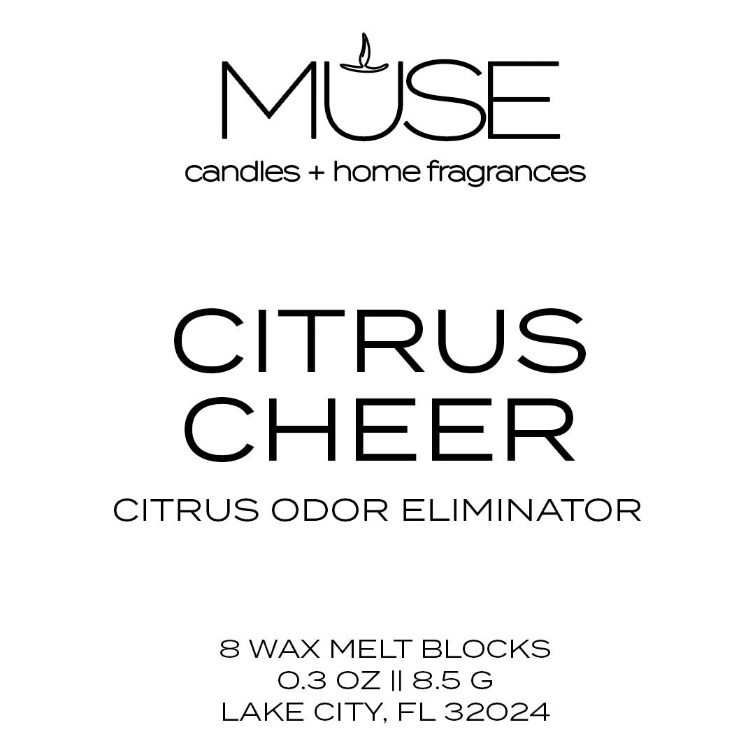 Citrus Cheer - Wax Melts