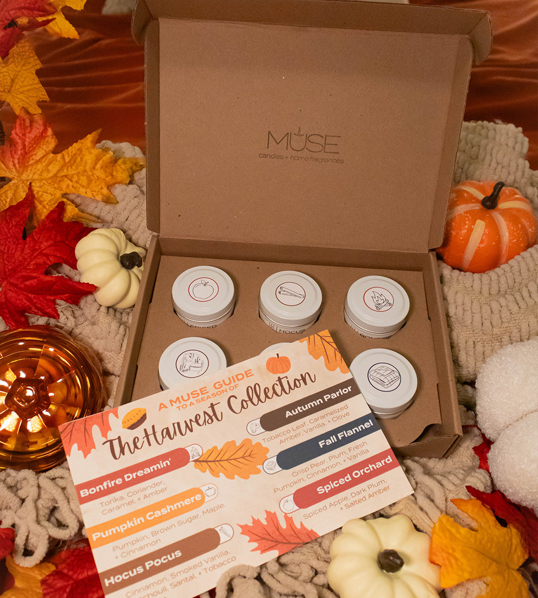 The Harvest Collection Discovery Box | Set of 6 2 oz Tins