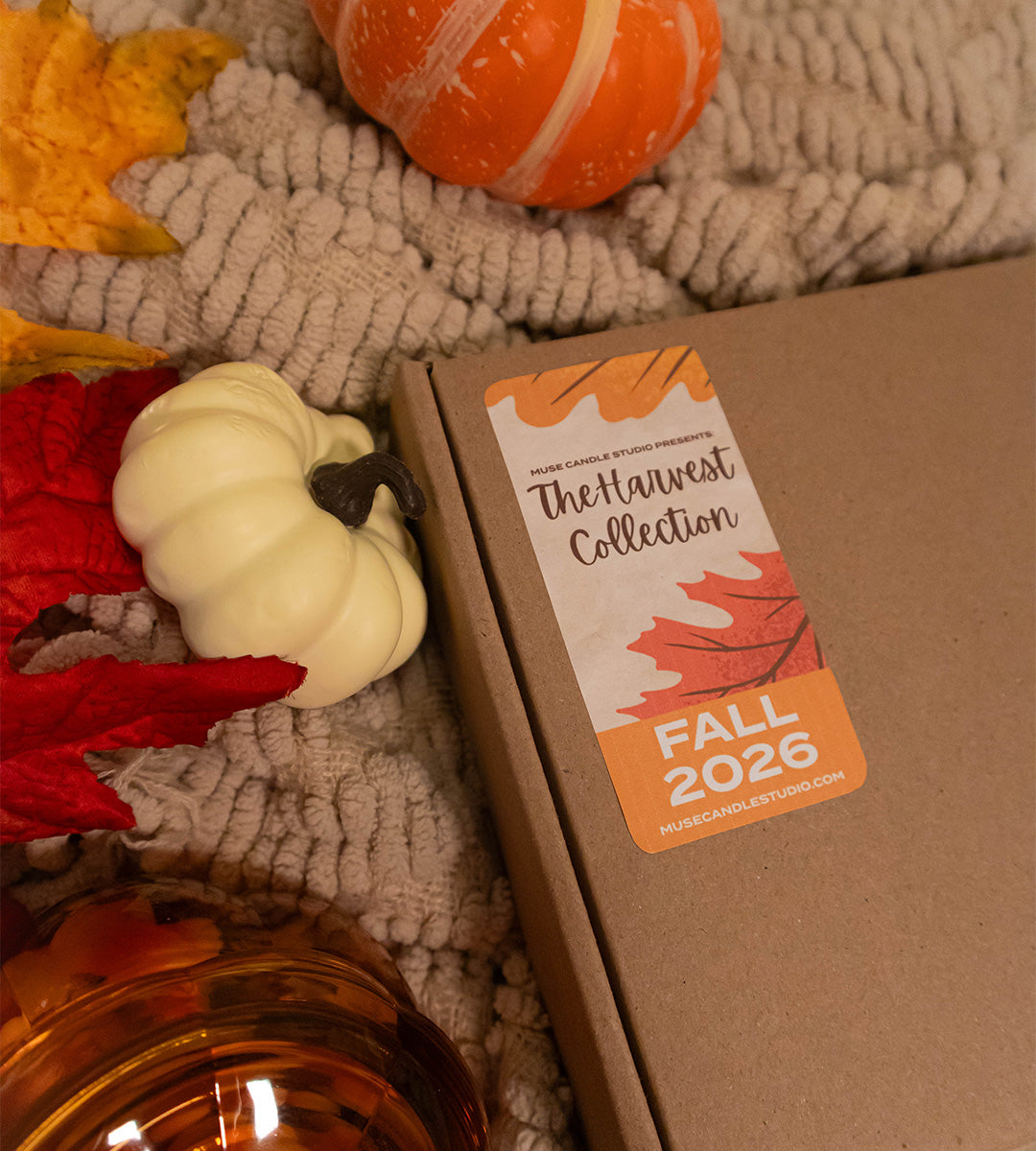 The Harvest Collection Discovery Box | Set of 6 2 oz Tins