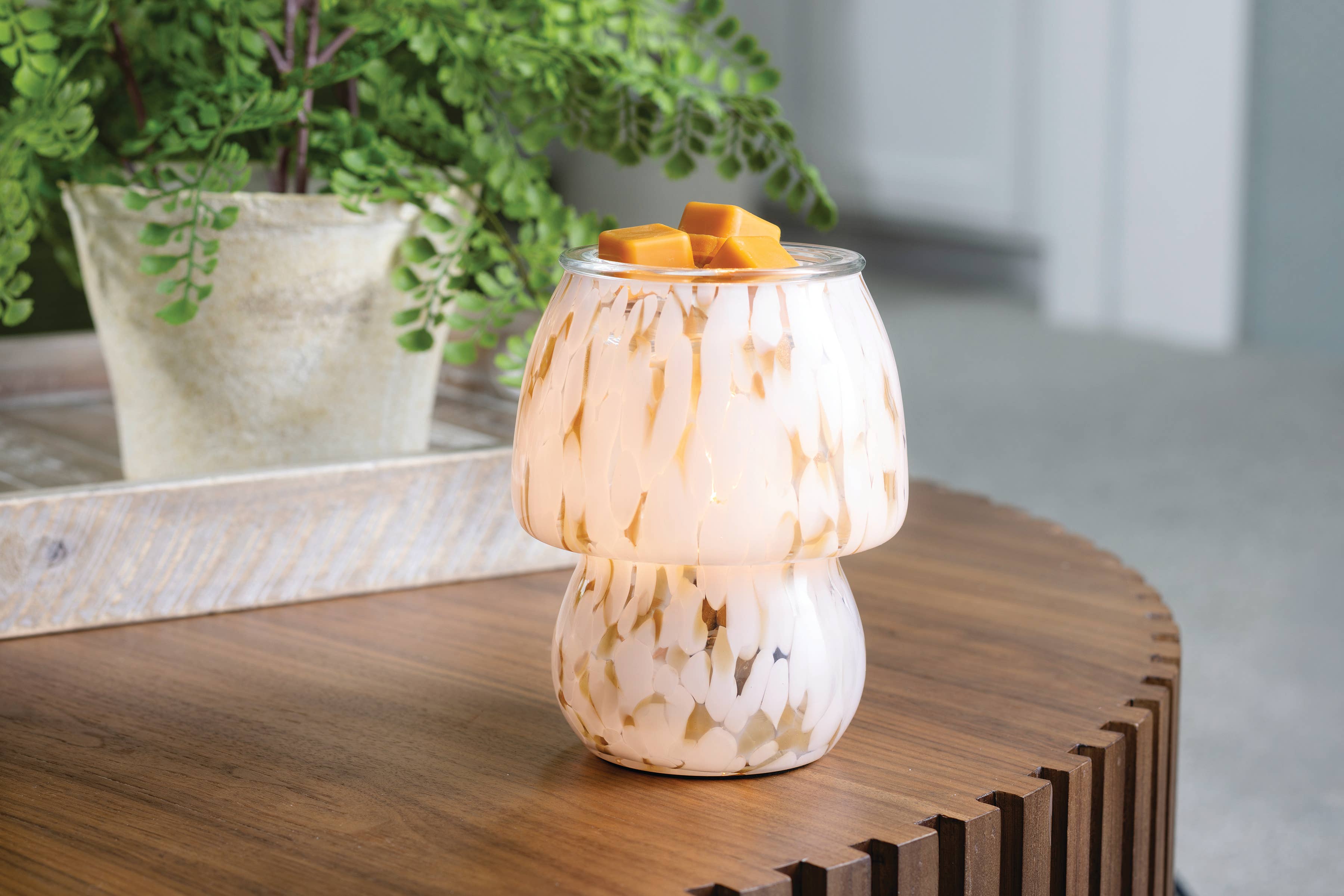MUSE Candle Studio Art Glass Fragrance Warmer